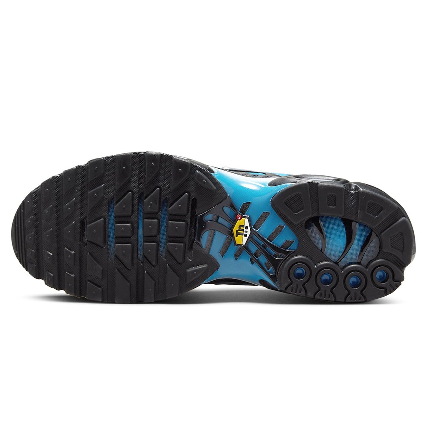 TN Air Max Plus Black Blue Gradient (2023)
